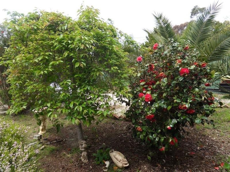 23 Gladstone Street, Nairne SA 5252