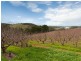 . Stentiford Road, Forest Range SA 5139