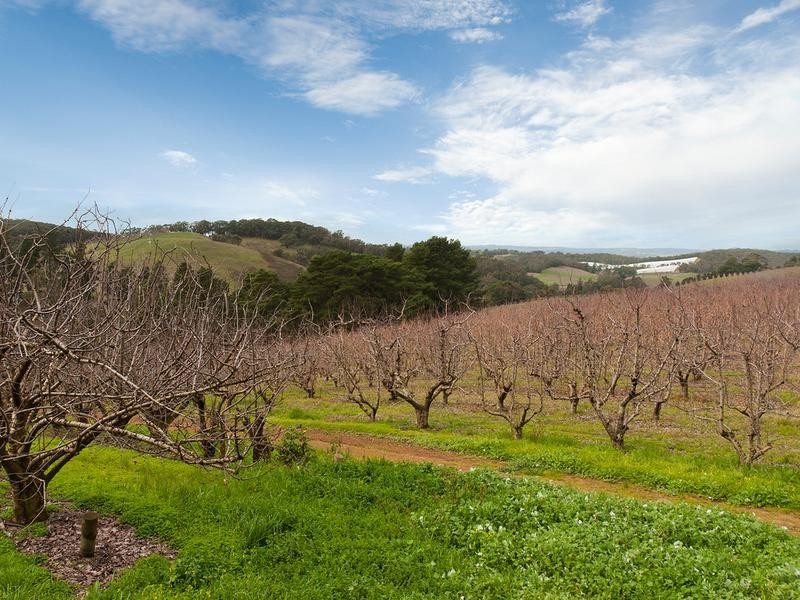. Stentiford Road, Forest Range SA 5139