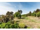 16 Tremayne Drive, Mount Barker SA 5251