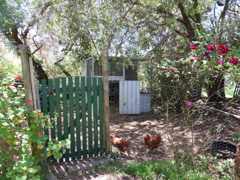 12 Walker Street, Macclesfield SA 5153