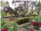 17 Britannia Road, Nairne SA 5252