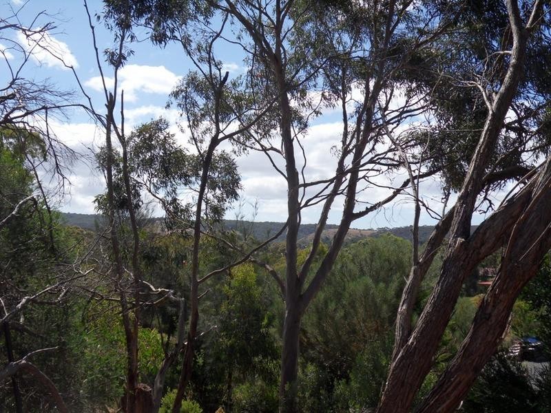 18-22 Wirrinilla Drive, Macclesfield SA 5153