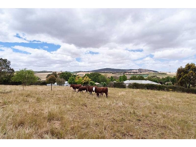 312 Bald Hills Road, Mount Barker SA 5251
