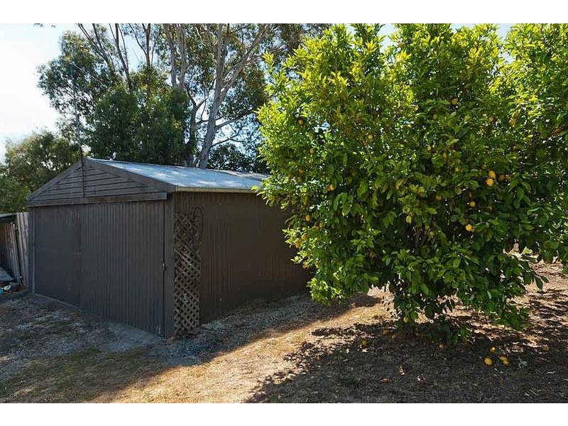 53 Ray Orr Drive, Mount Barker SA 5251