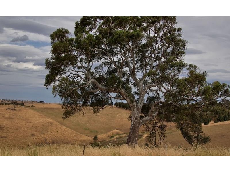 43 Mail Road, Harrogate SA 5244