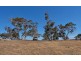 295 Pebbly Range Road, Tungkillo SA 5236