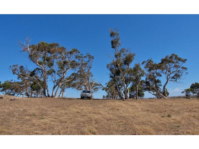 295 Pebbly Range Road, Tungkillo SA 5236