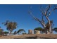 295 Pebbly Range Road, Tungkillo SA 5236