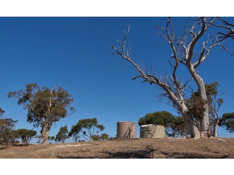 295 Pebbly Range Road, Tungkillo SA 5236
