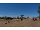 295 Pebbly Range Road, Tungkillo SA 5236