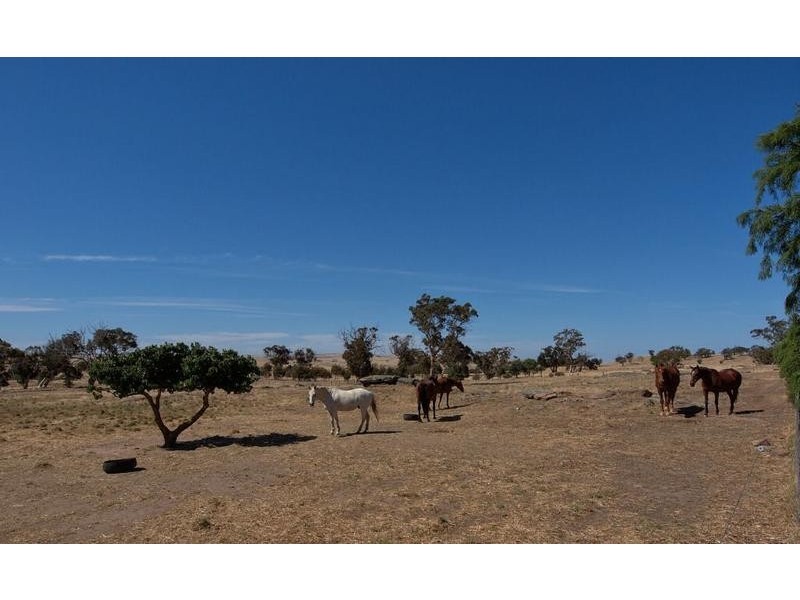 295 Pebbly Range Road, Tungkillo SA 5236