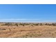 295 Pebbly Range Road, Tungkillo SA 5236