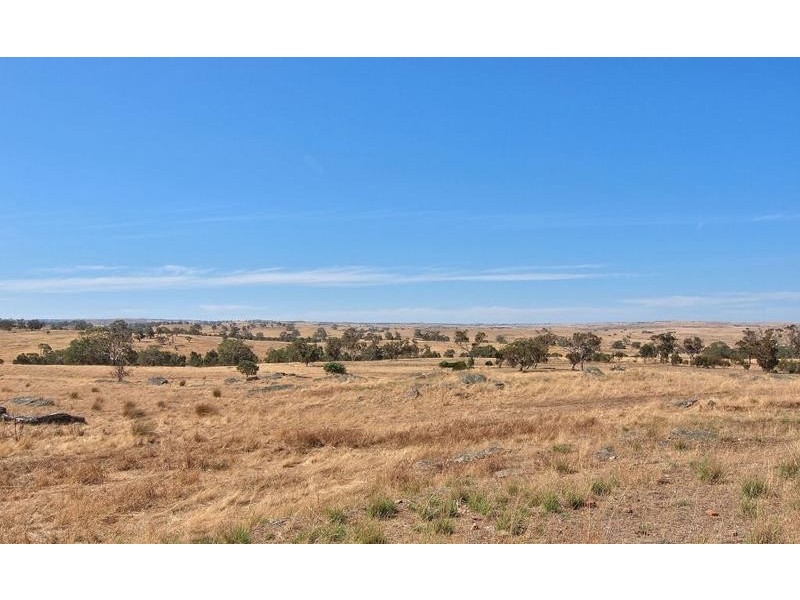 295 Pebbly Range Road, Tungkillo SA 5236