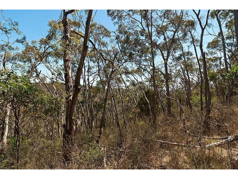 Lot 56 Charlick Road, Crafers West SA 5152