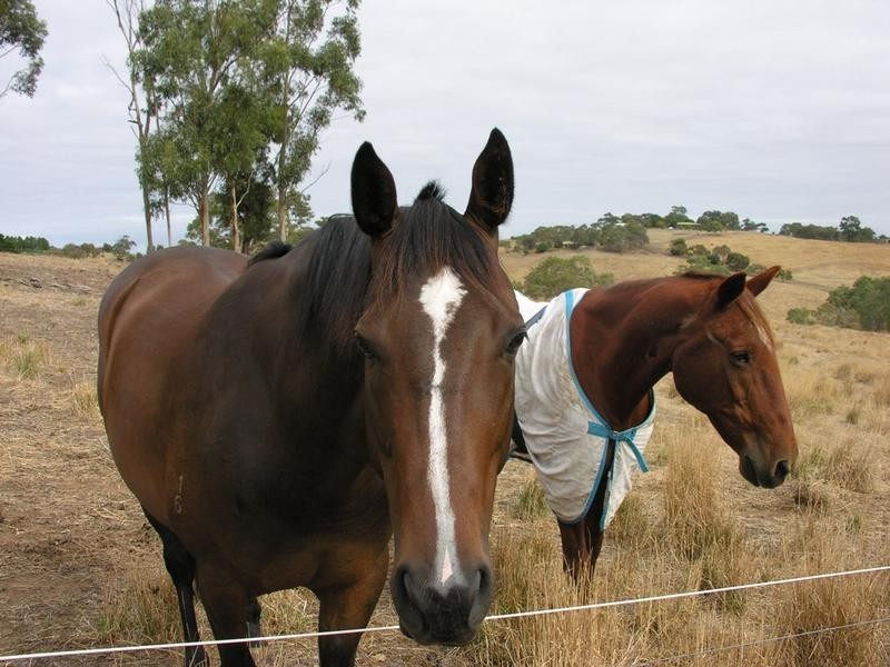 Lot 4, 247 Little Dublin Road, Nairne SA 5252