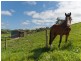Lot 10 Adelaide-Goolwa Road, Meadows SA 5201