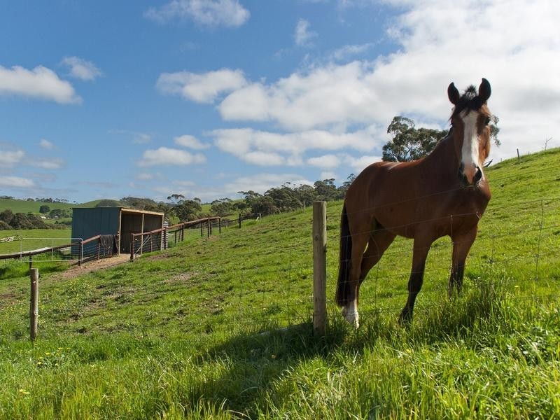 Lot 10 Adelaide-Goolwa Road, Meadows SA 5201