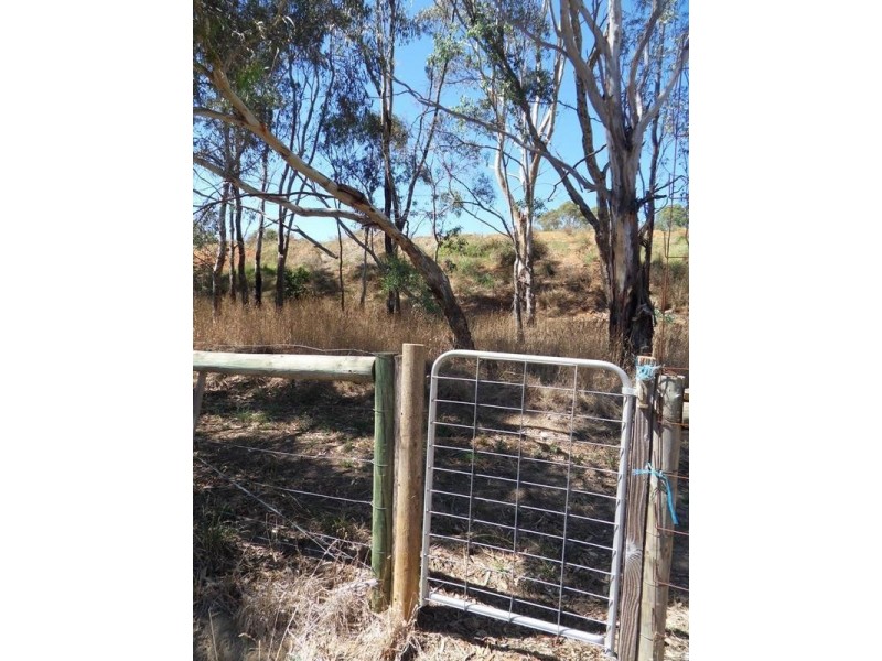 19 Herriot Court, Mount Barker SA 5251