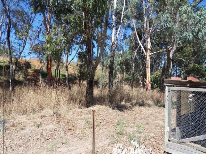 19 Herriot Court, Mount Barker SA 5251