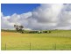 1036 Back Callington Road, Callington SA 5254