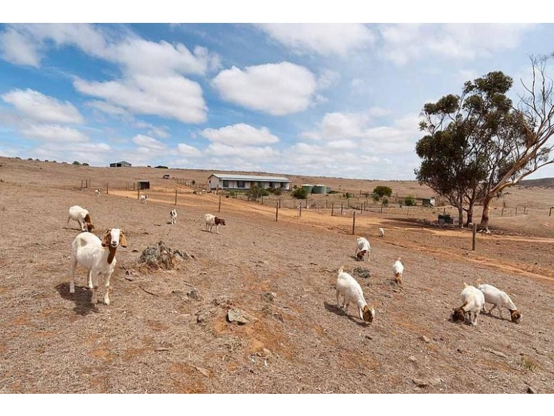 1036 Back Callington Road, Callington SA 5254