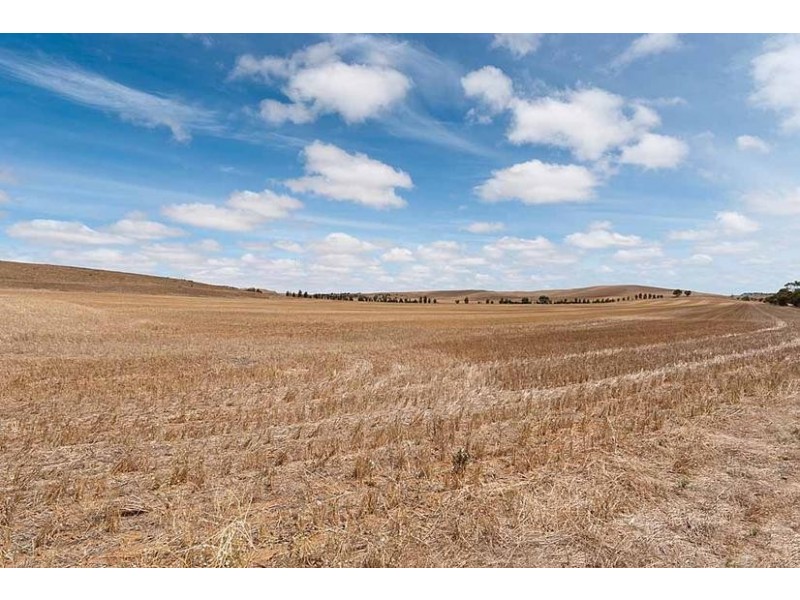 1036 Back Callington Road, Callington SA 5254
