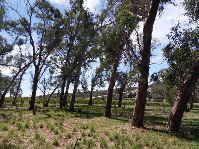 65a Junction Road, Littlehampton SA 5250