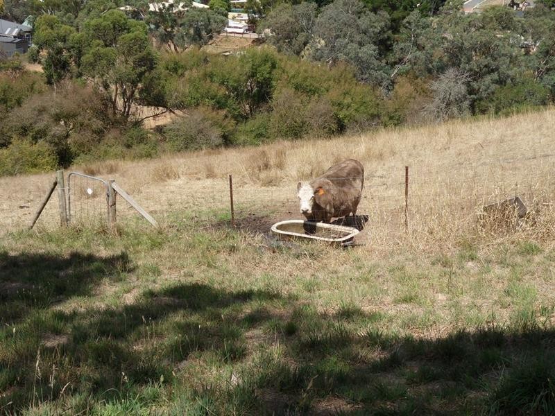 65a Junction Road, Littlehampton SA 5250