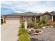 49 Barton Circuit, Mount Barker SA 5251