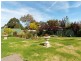 49 Barton Circuit, Mount Barker SA 5251