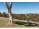 2513 Strathalbyn Road, Macclesfield SA 5153