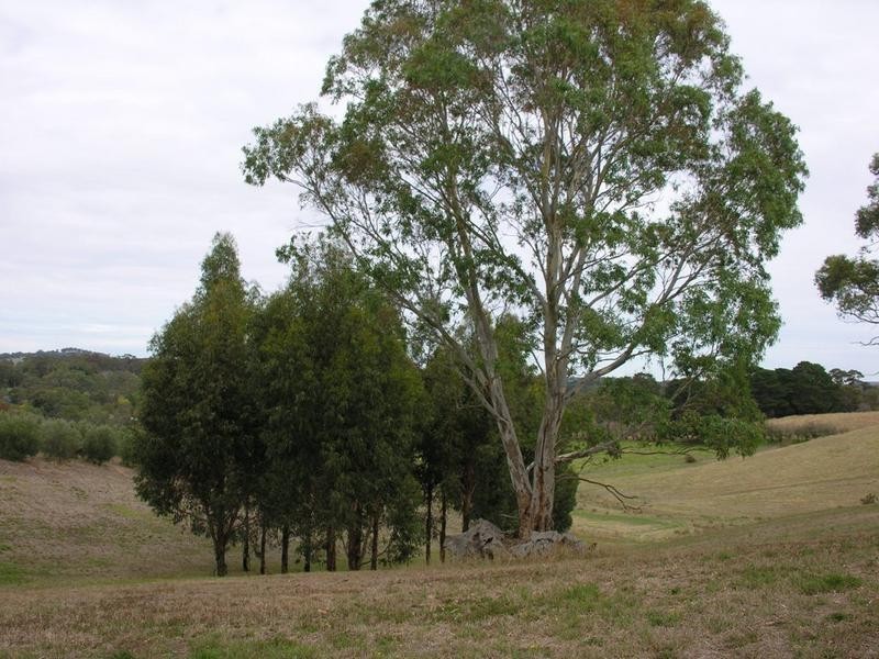 95B Oakwood Road, Oakbank SA 5243