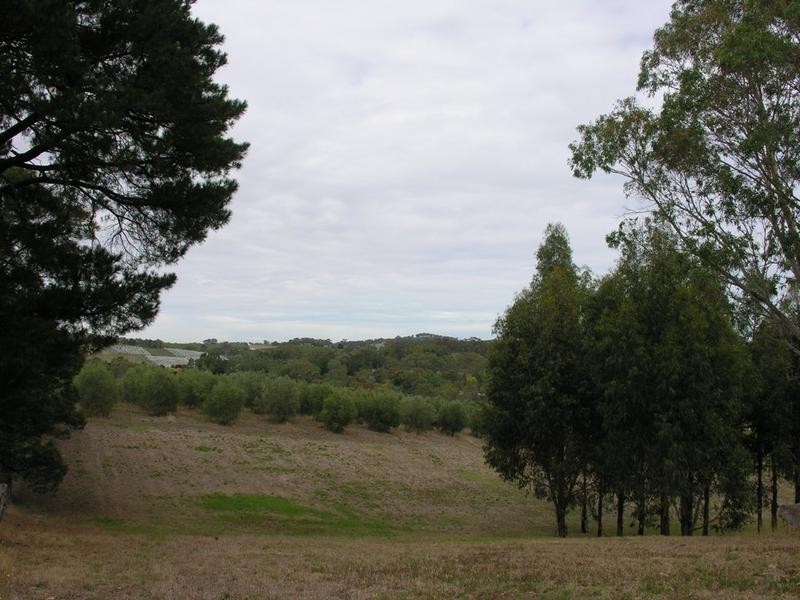 95B Oakwood Road, Oakbank SA 5243