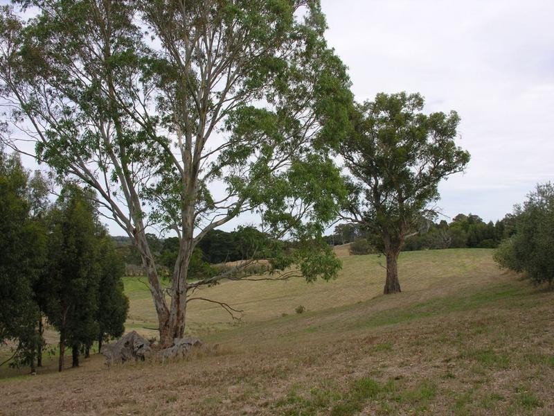 95B Oakwood Road, Oakbank SA 5243