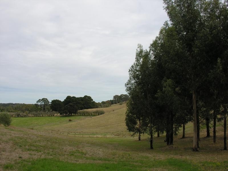 95B Oakwood Road, Oakbank SA 5243