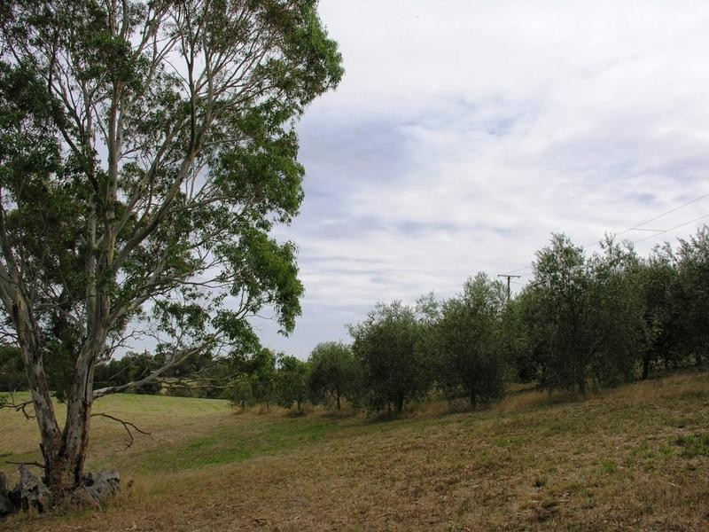 95B Oakwood Road, Oakbank SA 5243