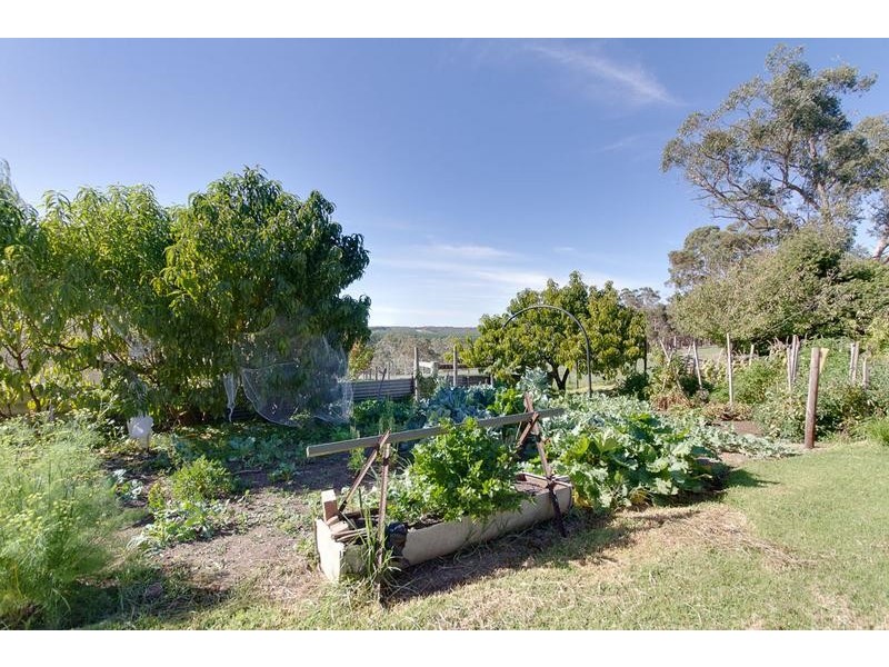 Lot 280 Tynan Road, Meadows SA 5201
