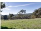 Lot 280 Tynan Road, Meadows SA 5201