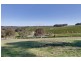 Lot 280 Tynan Road, Meadows SA 5201