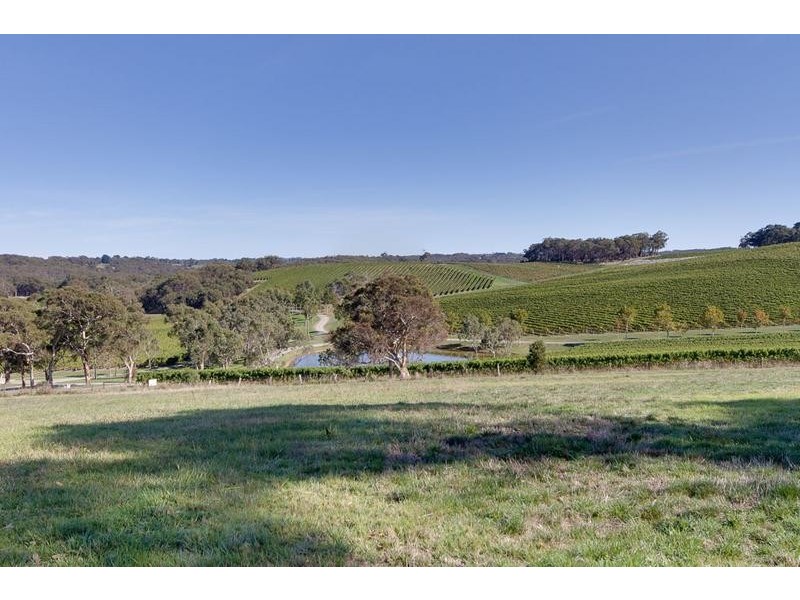 Lot 280 Tynan Road, Meadows SA 5201