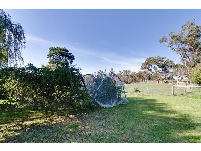 Lot 280 Tynan Road, Meadows SA 5201