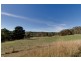 Lot 280 Tynan Road, Meadows SA 5201