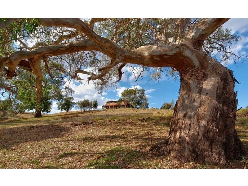 3 Schwab Road, Harrogate SA 5244