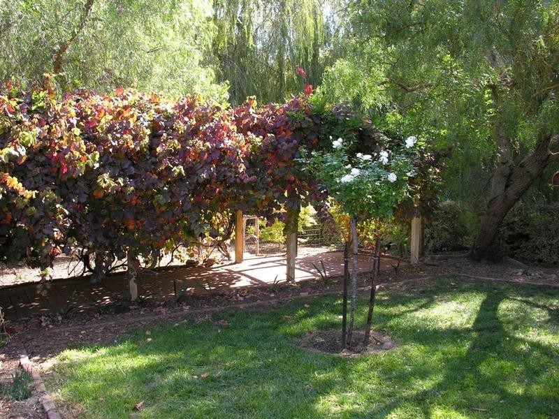 63 North Road, Nairne SA 5252