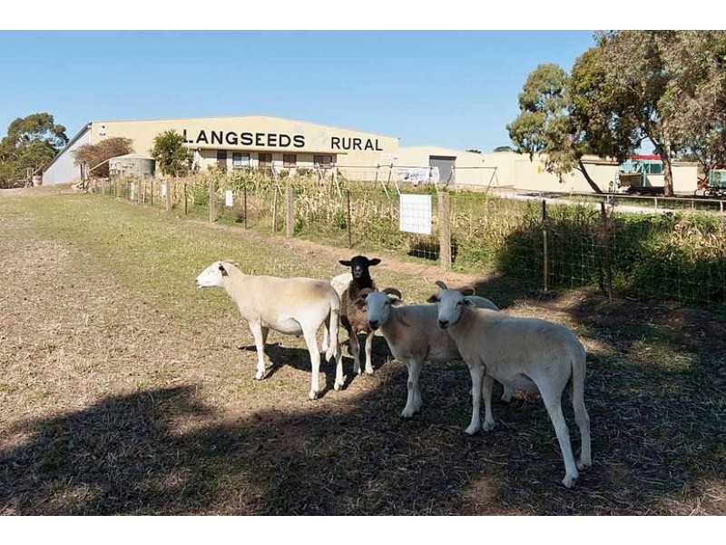 359 Nairne Road, Woodside SA 5244