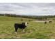 46 Old Mount Barker Road, Echunga SA 5153
