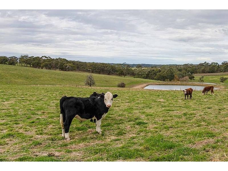46 Old Mount Barker Road, Echunga SA 5153