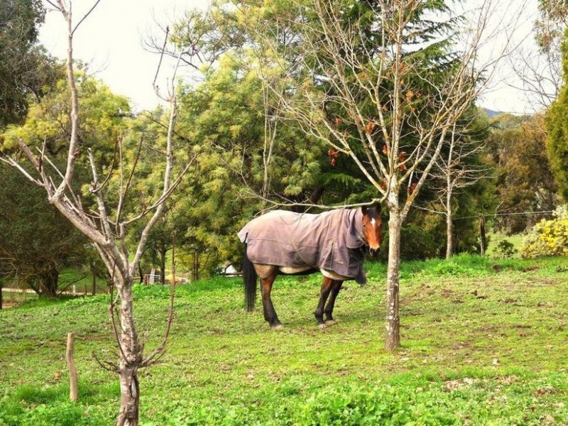 104 Rider Road, Blakiston SA 5250