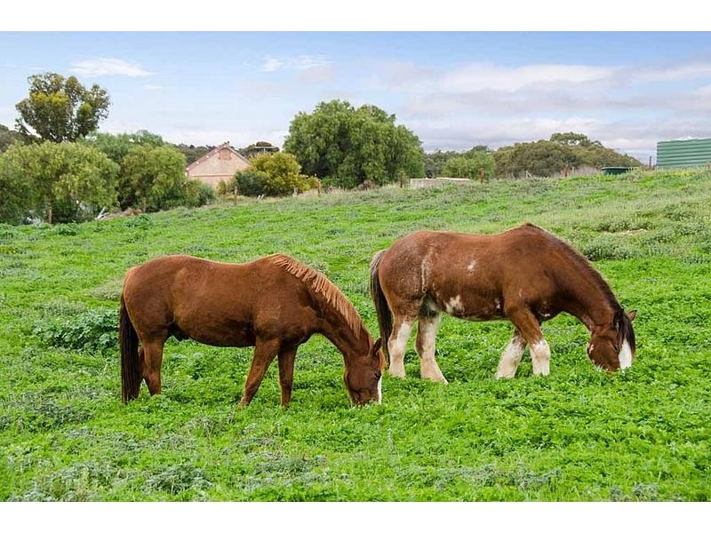 60 Chaunceys Line, Hartley SA 5255